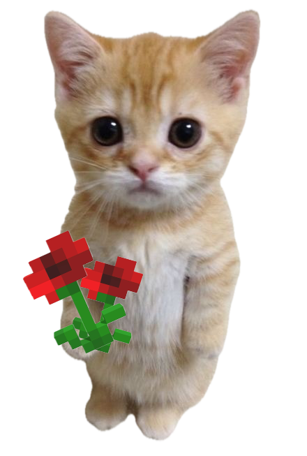 Cat with flower